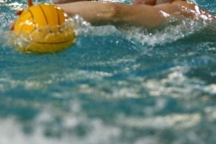 2008-02-06_training_10