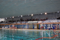 2010-01-24_2wlo-sg-wasserball-dresden-gg-svv-plauen_09