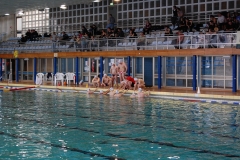 2010-01-24_2wlo-sg-wasserball-dresden-gg-svv-plauen_10
