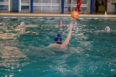 2010-01-24_2wlo-sg-wasserball-dresden-gg-svv-plauen_11