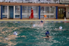 2010-01-24_2wlo-sg-wasserball-dresden-gg-svv-plauen_12
