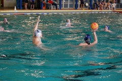 2010-01-24_2wlo-sg-wasserball-dresden-gg-svv-plauen_13