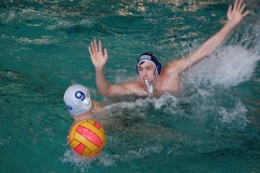 2010-01-24_2wlo-sg-wasserball-dresden-gg-svv-plauen_14