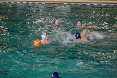 2010-01-24_2wlo-sg-wasserball-dresden-gg-svv-plauen_15