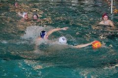 2010-01-24_2wlo-sg-wasserball-dresden-gg-svv-plauen_16