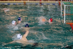 2010-01-24_2wlo-sg-wasserball-dresden-gg-svv-plauen_17