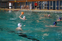 2010-01-24_2wlo-sg-wasserball-dresden-gg-svv-plauen_18
