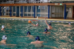 2010-01-24_2wlo-sg-wasserball-dresden-gg-svv-plauen_19