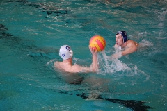2010-01-24_2wlo-sg-wasserball-dresden-gg-svv-plauen_20