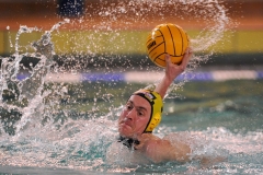 2011-02-19_2wlo_zwickau_05