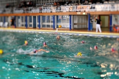 2011-10-30_wasserball_dresden_neukoelln_02