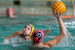 2011-10-30_wasserball_dresden_neukoelln_08