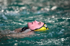 2011-12-11_wasserball_dresden_plauen_01
