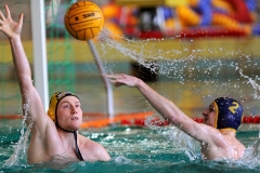 2011-12-11_wasserball_dresden_plauen_13
