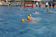 landesjugendspiele-dresden-wasserball-2013_05