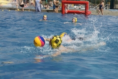 landesjugendspiele-dresden-wasserball-2013_06