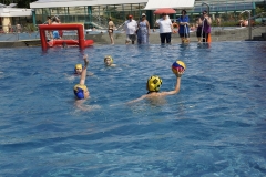 landesjugendspiele-dresden-wasserball-2013_08