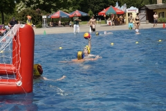 landesjugendspiele-dresden-wasserball-2013_09
