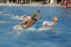 landesjugendspiele-dresden-wasserball-2013_12