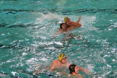 wasserball-dresden-gg-prag-2014-02-08_04
