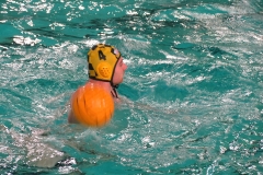 wasserball-dresden-gg-prag-2014-02-08_05