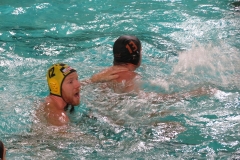 wasserball-dresden-gg-prag-2014-02-08_06
