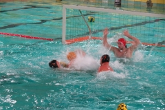 wasserball-dresden-gg-prag-2014-02-08_07