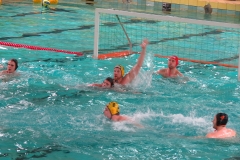 wasserball-dresden-gg-prag-2014-02-08_11