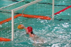 wasserball-dresden-gg-prag-2014-02-08_12