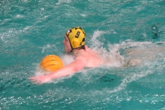 wasserball-dresden-gg-prag-2014-02-08_13