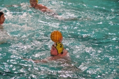 wasserball-dresden-gg-prag-2014-02-08_14