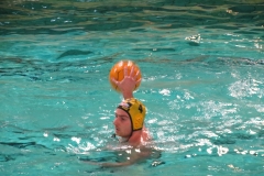 wasserball-dresden-gg-prag-2014-02-08_15