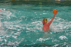 wasserball-dresden-gg-prag-2014-02-08_16