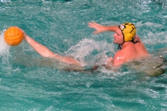 wasserball-dresden-gg-prag-2014-02-08_17