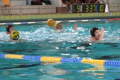 wasserball-dresden-gg-prag-2014-02-08_22