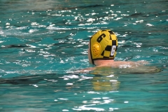 wasserball-dresden-gg-prag-2014-02-08_23