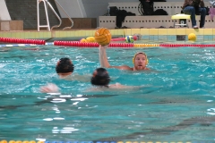 wasserball-dresden-gg-prag-2014-02-08_24