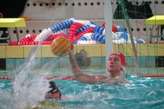 wasserball-dresden-gg-prag-2014-02-08_25