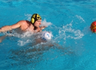 wasserball-turnier-burkau-2016-18