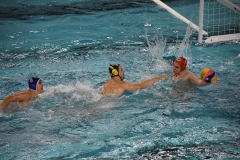 Wasserball-Spiel in der 2. Liga Ost: SWV TuR Dresden gegen SGW Brandenburg