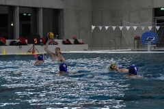 Wasserball-Spiel in der 2. Liga Ost: SWV TuR Dresden gegen SGW Brandenburg