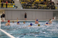 Wasserball-Spiel in der 2. Liga Ost: SWV TuR Dresden gegen SGW Brandenburg