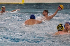 Wasserball-Spiel in der 2. Liga Ost: SWV TuR Dresden gegen SGW Brandenburg