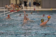 Wasserball-Spiel in der 2. Liga Ost: SWV TuR Dresden gegen SGW Brandenburg