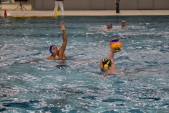 Wasserball-Spiel in der 2. Liga Ost: SWV TuR Dresden gegen SGW Brandenburg