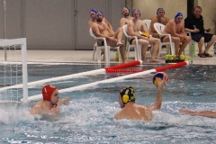 Wasserball-Spiel in der 2. Liga Ost: SWV TuR Dresden gegen SGW Brandenburg