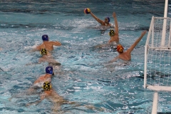 Wasserball-Spiel in der 2. Liga Ost: SWV TuR Dresden gegen SGW Brandenburg