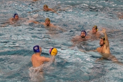 Wasserball-Spiel in der 2. Liga Ost: SWV TuR Dresden gegen SGW Brandenburg