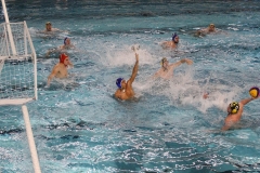 Wasserball-Spiel in der 2. Liga Ost: SWV TuR Dresden gegen SGW Brandenburg