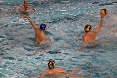 Wasserball-Spiel in der 2. Liga Ost: SWV TuR Dresden gegen SGW Brandenburg